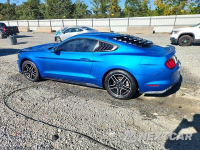 Drugie zdjęcie samochodu z przodu: 2019 FORD MUSTANG VIN:1FA6P8TH0K5178167 - miniatura