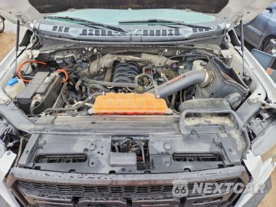 Zdjęcie 12 z 13 samochodu: 2017 FORD F150 SUPERCREW VIN:1FTEW1EFXHKD26783 - miniatura