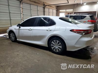 Drugie zdjęcie samochodu z przodu: 2019 TOYOTA CAMRY LE VIN:4T1B31HK6KU509139 - miniatura