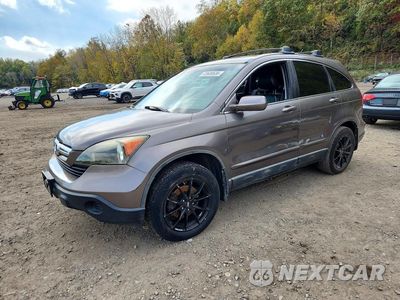 2009 HONDA CR-V EXL 5J6RE48739L034571 - główne zdjęcie licytacji z USA - miniatura