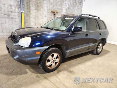 2005 HYUNDAI SANTA FE GLS KM8SC73D95U012957 - główne zdjęcie licytacji z USA - miniatura