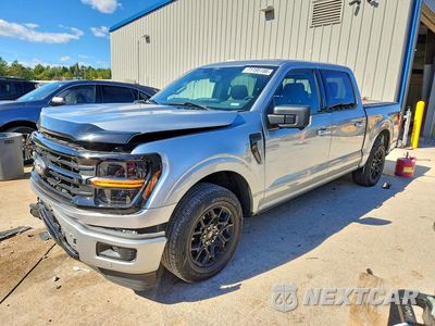 2024 FORD F150 XLT 1FTEW3KP0RKF79511 - główne zdjęcie licytacji z USA - miniatura