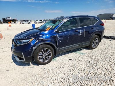2022 HONDA CR-V EXL 5J6RT6H8XNL050254 - główne zdjęcie licytacji z USA - miniatura
