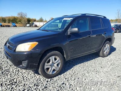 2011 TOYOTA RAV4 BASE JTMBF4DV6BD040339 - główne zdjęcie licytacji z USA - miniatura