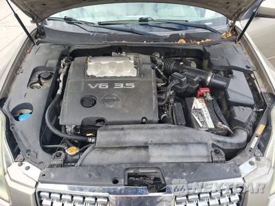Zdjęcie 11 z 12 samochodu: 2006 NISSAN MAXIMA 3.5 SE VIN:1N4BA41E46C865039 - miniatura