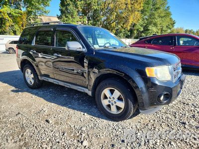Czwarte zdjęcie samochodu z boku: 2010 FORD ESCAPE XLT VIN:1FMCU9DGXAKC24939 - miniatura