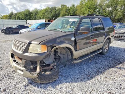 2005 FORD EXPEDITION EDDIE BAUER 1FMFU17535LA96603 - główne zdjęcie licytacji z USA - miniatura