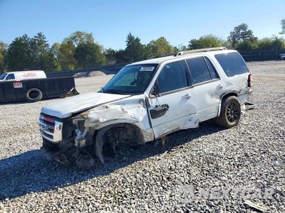 2011 FORD EXPEDITION XLT 1FMJU1H51BEF46225 - główne zdjęcie licytacji z USA - miniatura