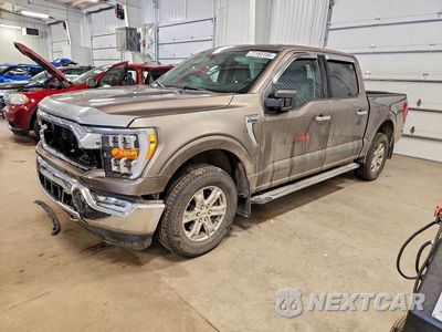 2021 FORD F150 SUPERCREW 1FTEW1EP3MFC33101 - główne zdjęcie licytacji z USA - miniatura