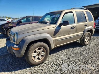 2003 JEEP LIBERTY SPORT 1J4GL48K13W675368 - główne zdjęcie licytacji z USA - miniatura