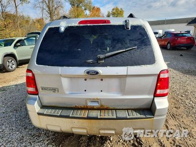 Zdjęcie 6 z 13 samochodu: 2010 FORD ESCAPE XLT VIN:1FMCU0D7XAKC62232 - miniatura