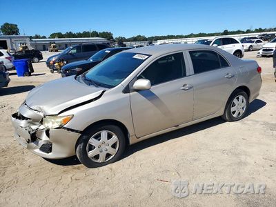 2009 TOYOTA COROLLA LE 1NXBU40E79Z051559 - główne zdjęcie licytacji z USA - miniatura