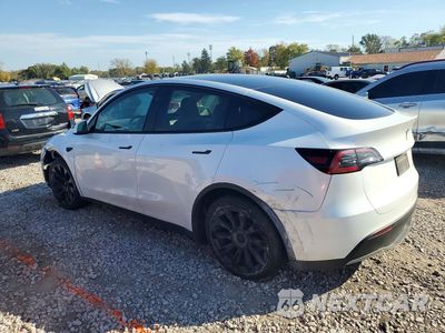 Drugie zdjęcie samochodu z przodu: 2024 TESLA MODEL Y VIN:7SAYGDEE2RF194770 - miniatura