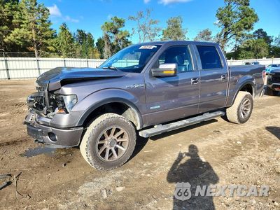 2014 FORD F150 SUPERCREW 1FTFW1ET0EKF87734 - główne zdjęcie licytacji z USA - miniatura