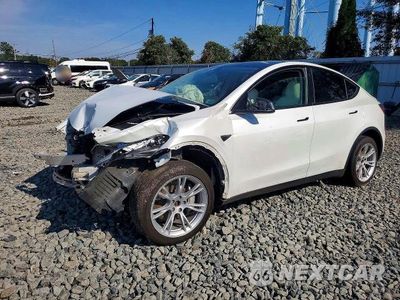 2023 TESLA MODEL Y 7SAYGDEEXPF615342 - główne zdjęcie licytacji z USA - miniatura