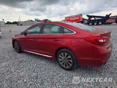 Drugie zdjęcie samochodu z przodu: 2017 HYUNDAI SONATA SPORT VIN:5NPE34AF1HH445028 - miniatura