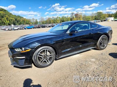 2021 FORD MUSTANG 1FA6P8TH3M5157672 - główne zdjęcie licytacji z USA - miniatura