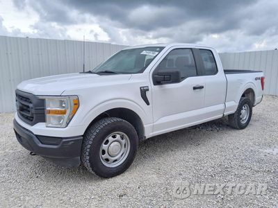 2021 FORD F150 SUPER CAB 1FTEX1EP7MKE48288 - główne zdjęcie licytacji z USA - miniatura