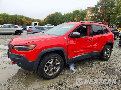 2019 JEEP CHEROKEE TRAILHAWK 1C4PJMBX0KD314580 - główne zdjęcie licytacji z USA - miniatura