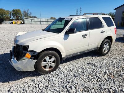 2010 FORD ESCAPE XLT 1FMCU0D7XAKC31109 - główne zdjęcie licytacji z USA - miniatura