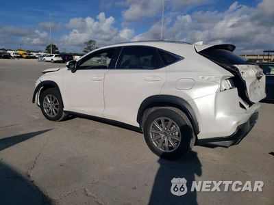 Drugie zdjęcie samochodu z przodu: 2021 LEXUS NX 300 BASE VIN:JTJDARBZ6M5024050 - miniatura