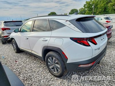 Drugie zdjęcie samochodu z przodu: 2024 HYUNDAI TUCSON HYBRID SEL CONVENIENCE VIN:KM8JBCD16RU175647 - miniatura