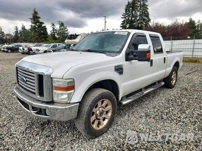 2008 FORD F250 SUPER DUTY 1FTSW21Y48ED07788 - główne zdjęcie licytacji z USA - miniatura