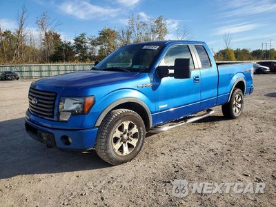 2011 FORD F150 SUPER CAB 1FTFX1ET0BKE21657 - główne zdjęcie licytacji z USA - miniatura