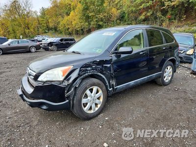 2009 HONDA CR-V EXL 5J6RE48709L062327 - główne zdjęcie licytacji z USA - miniatura