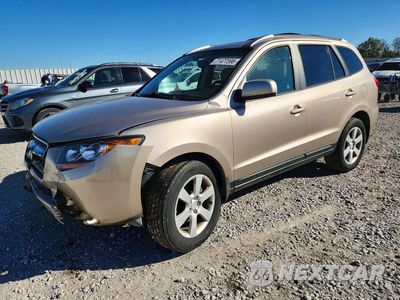 2007 HYUNDAI SANTA FE SE 5NMSH13E57H037005 - główne zdjęcie licytacji z USA - miniatura