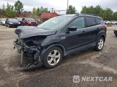 2014 FORD ESCAPE 1FMCU0GX0EUC97755 - główne zdjęcie licytacji z USA - miniatura
