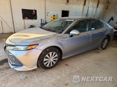2020 TOYOTA CAMRY LE 4T1C31AK7LU016781 - główne zdjęcie licytacji z USA - miniatura