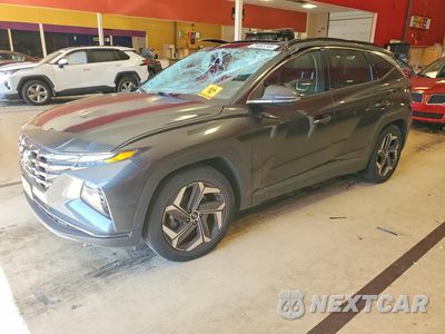 2023 HYUNDAI TUCSON LIMITED 5NMJE3AE3PH202908 - główne zdjęcie licytacji z USA - miniatura