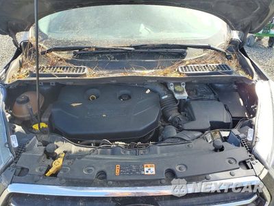 Zdjęcie 12 z 13 samochodu: 2017 FORD ESCAPE SE VIN:1FMCU9G95HUA15331 - miniatura