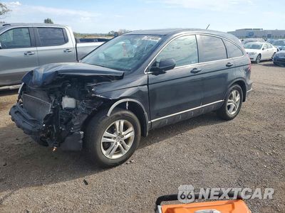 2010 HONDA CR-V EXL 5J6RE4H77AL038949 - główne zdjęcie licytacji z USA - miniatura