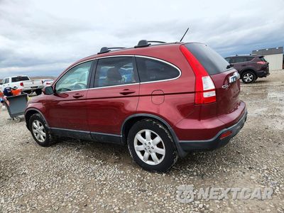 Drugie zdjęcie samochodu z przodu: 2007 HONDA CR-V EXL VIN:JHLRE48767C069076 - miniatura