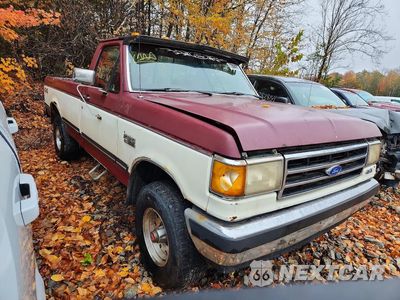 Czwarte zdjęcie samochodu z boku: 1991 FORD F150 VIN:1FTEF14N1MNA28673 - miniatura