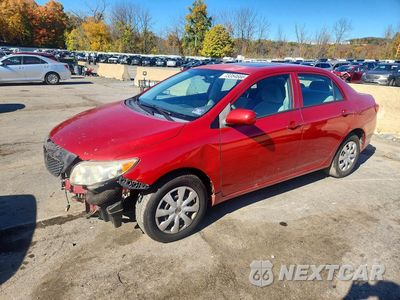 2010 TOYOTA COROLLA LE 2T1BU4EE6AC275307 - główne zdjęcie licytacji z USA - miniatura
