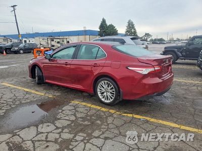 Drugie zdjęcie samochodu z przodu: 2019 TOYOTA CAMRY XLE VIN:4T1B11HKXKU709088 - miniatura