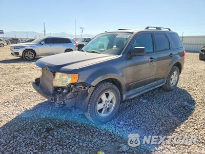 2012 FORD ESCAPE XLT 1FMCU9DGXCKB81318 - główne zdjęcie licytacji z USA - miniatura