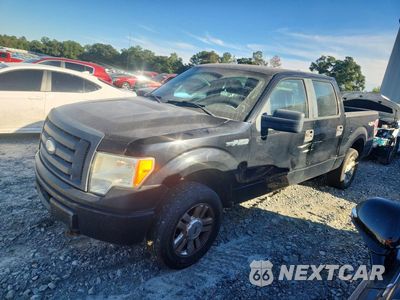 2009 FORD F150 SUPERCREW 1FTRW148X9FA49163 - główne zdjęcie licytacji z USA - miniatura