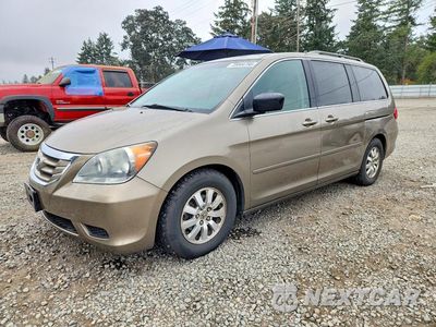 2009 HONDA ODYSSEY EXL 5FNRL38719B052804 - główne zdjęcie licytacji z USA - miniatura