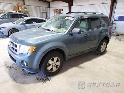 2011 FORD ESCAPE XLT 1FMCU9DG0BKB99549 - główne zdjęcie licytacji z USA - miniatura