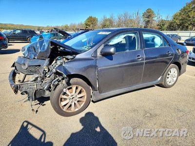 2010 TOYOTA COROLLA S 2T1BU4EE5AC467379 - główne zdjęcie licytacji z USA - miniatura