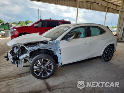 2025 LEXUS UX 300H PREMIUM JTHYBJAH0S2017393 - główne zdjęcie licytacji z USA - miniatura