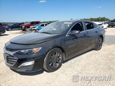 2020 CHEVROLET MALIBU LT 1G1ZD5ST5LF092409 - główne zdjęcie licytacji z USA - miniatura