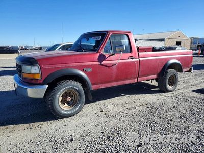 1994 FORD F150 1FTEF14Y8RLA15075 - główne zdjęcie licytacji z USA - miniatura
