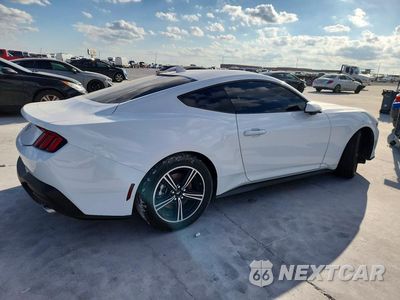Trzecie zdjęcie samochodu z tyłu: 2024 FORD MUSTANG VIN:1FA6P8TH1R5146001 - miniatura