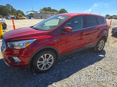 2019 FORD ESCAPE SE 1FMCU0GD0KUA87609 - główne zdjęcie licytacji z USA - miniatura