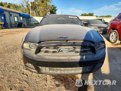 Piąte zdjęcie samochodu w środku: 2014 FORD MUSTANG VIN:1ZVBP8AM5E5301973 - miniatura